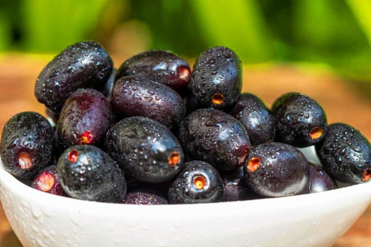 6 Khasiat Buah Duwet Untuk Kesehatan Harta Karun Tersembunyi dari Alam yang Nyaris Punah