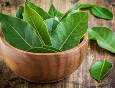 Jarang Diketahui 9 Khasiat Daun Salam untuk Kesehatan yang Perlu Anda Ketahui