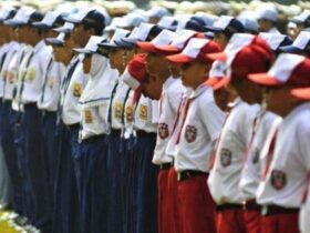 SPMB 2025 Segera Dibuka Ini Kuota SPMB 2025 Jalur Domisili Afirmasi Prestasi dan Mutasi Jenjang SD SMP SMA
