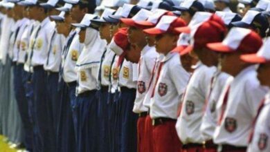 SPMB 2025 Segera Dibuka Ini Kuota SPMB 2025 Jalur Domisili Afirmasi Prestasi dan Mutasi Jenjang SD SMP SMA