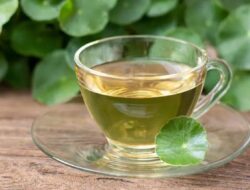 Cara Sederhana Mengolah Daun Binahong Menjadi Minuman Herbal Nomor 1 Paling Banyak Diterapkan