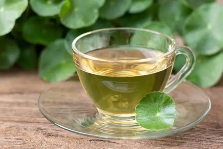 Cara Sederhana Mengolah Daun Binahong Menjadi Minuman Herbal Nomor 1 Paling Banyak Diterapkan