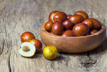 Mengenal Buah Bidara Buah Ajaib dengan Segudang Manfaat untuk Kesehatan Hingga Kecantikan