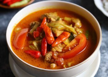 Segar dan Gurih Tongseng Ayam Pedas Berkuah Kelezatan Dibalik Cita Rasa yang Autentik