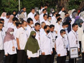Berapa Gaji PPPK Paruh Waktu Cek Rinciannya Berikut