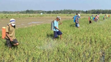 Beri Pelayanan Prima Untuk Petani DP4 Blora Siap Tanggap Cepat Atasi Masalah Pertanian