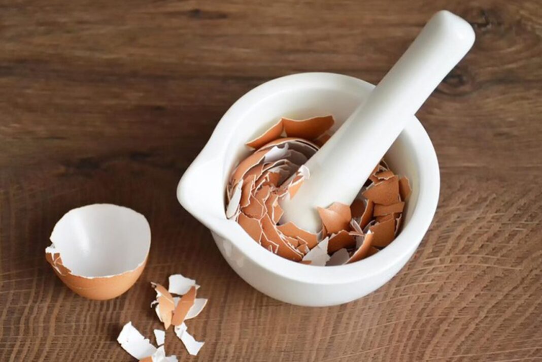 Bikin Wajah Awet Muda Khasiat Kulit Telur Untuk Kecantikan dan Tips Memanfaatkannya