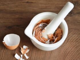 Bikin Wajah Awet Muda Khasiat Kulit Telur Untuk Kecantikan dan Tips Memanfaatkannya