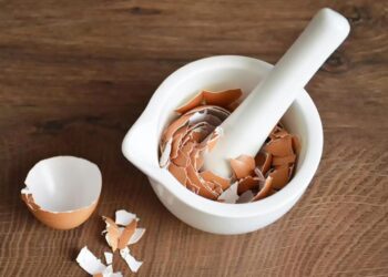 Bikin Wajah Awet Muda Khasiat Kulit Telur Untuk Kecantikan dan Tips Memanfaatkannya