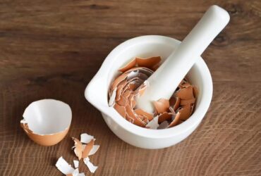 Bikin Wajah Awet Muda Khasiat Kulit Telur Untuk Kecantikan dan Tips Memanfaatkannya