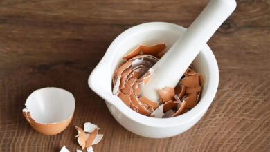 Bikin Wajah Awet Muda Khasiat Kulit Telur Untuk Kecantikan dan Tips Memanfaatkannya