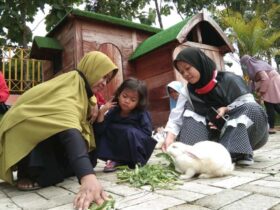 Dijamin Seru dan Berkesan 5 Tempat Wisata di Blora yang Sangat Cocok Untuk Kegiatan Piknik Keluarga