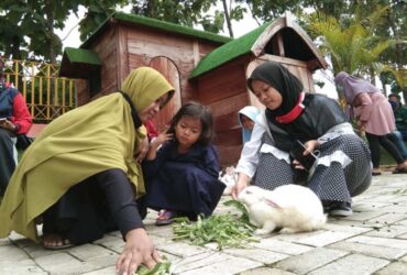 Dijamin Seru dan Berkesan 5 Tempat Wisata di Blora yang Sangat Cocok Untuk Kegiatan Piknik Keluarga
