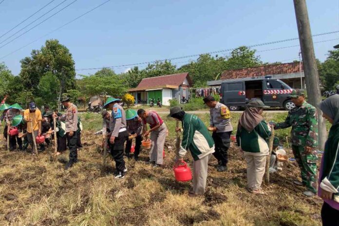 Jaga Ketahanan Pangan Nasional Polsek Cepu Bersama Mahasiswa Unugiri Bojonegoro Tanam Jagung di Desa Cabean