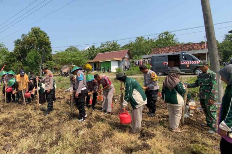 Jaga Ketahanan Pangan Nasional Polsek Cepu Bersama Mahasiswa Unugiri Bojonegoro Tanam Jagung di Desa Cabean