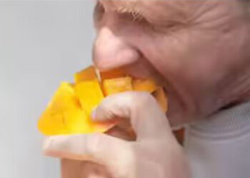 Jangan Konsumsi Buah Ini 8 Buah-Buahan Terburuk Untuk Penderita Diabetes