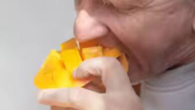 Jangan Konsumsi Buah Ini 8 Buah-Buahan Terburuk Untuk Penderita Diabetes