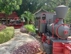 Libur Panjang Ini 5 Tempat Wisata di Cepu yang Murah Meriah dan Bikin Betah