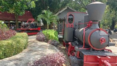 Libur Panjang Ini 5 Tempat Wisata di Cepu yang Murah Meriah dan Bikin Betah