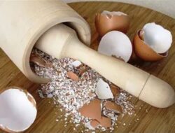 Masker Kulit Telur Cara Mudah dan Hemat Bikin Wajah Glowing