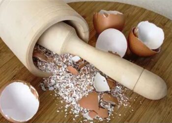 Masker Kulit Telur Cara Mudah dan Hemat Bikin Wajah Glowing