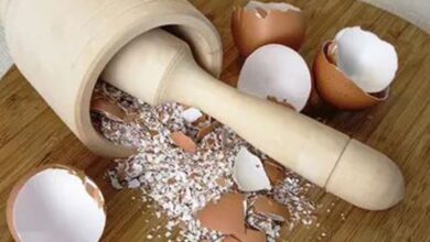 Masker Kulit Telur Cara Mudah dan Hemat Bikin Wajah Glowing