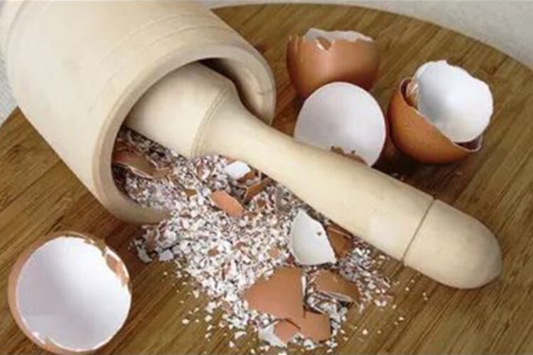 Masker Kulit Telur Cara Mudah dan Hemat Bikin Wajah Glowing