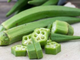 Mengenal Tanaman Okra Asal Usul dan Manfaatnya Bagi Kesehatan Hingga Kecantikan