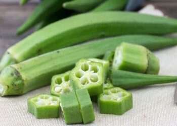 Mengenal Tanaman Okra Asal Usul dan Manfaatnya Bagi Kesehatan Hingga Kecantikan