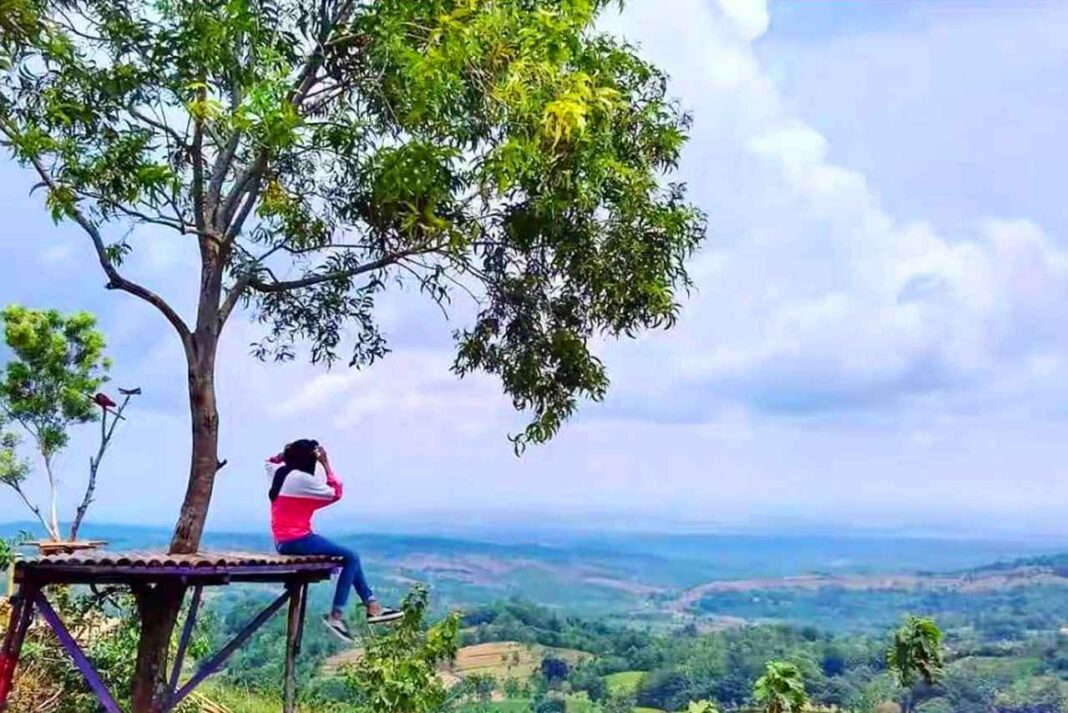 Menikmati Pemandangan Blora dari Puncak 7 Wisata Blora dengan Bukitnya yang Ikonik