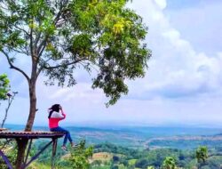 Menikmati Pemandangan Blora dari Puncak 7 Wisata Blora dengan Bukitnya yang Ikonik