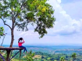 Menikmati Pemandangan Blora dari Puncak 7 Wisata Blora dengan Bukitnya yang Ikonik