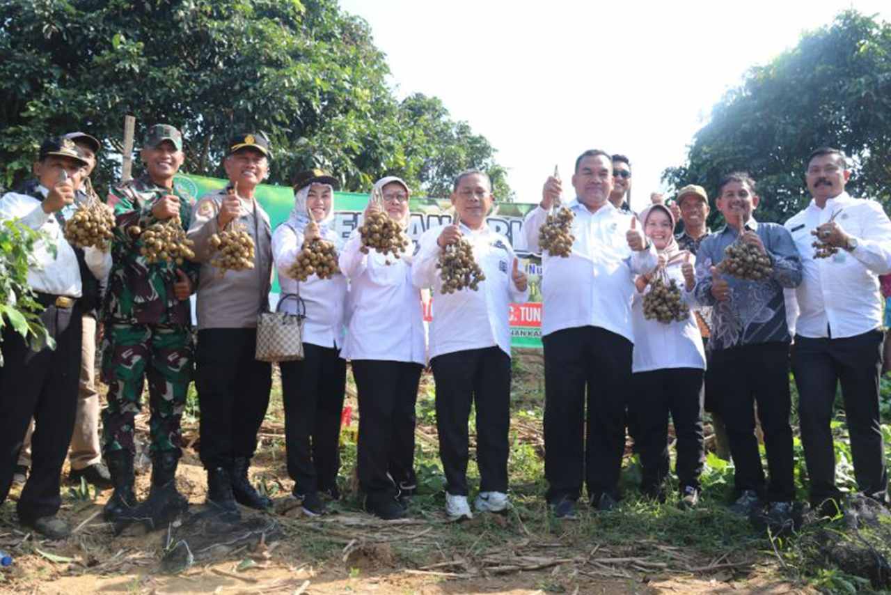 Petani Blora Raup Miliaran dari Panen Kelengkeng