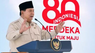 Resmi Link Download Logo dan Tema Serta Pedoman Visual HUT ke-80 RI 2025
