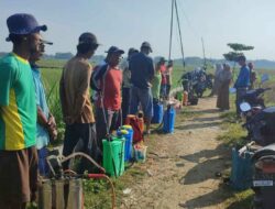 Tak Lagi Khawatir Gagal Panen Budaya Kerja C3 DP4 Blora Bantu Para Petani Atasi Permasalahan Pertanian