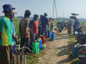 Tak Lagi Khawatir Gagal Panen Budaya Kerja C3 DP4 Blora Bantu Para Petani Atasi Permasalahan Pertanian