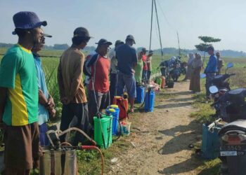 Tak Lagi Khawatir Gagal Panen Budaya Kerja C3 DP4 Blora Bantu Para Petani Atasi Permasalahan Pertanian