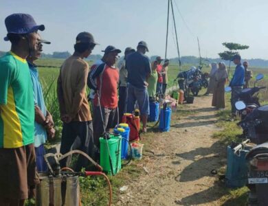 Tak Lagi Khawatir Gagal Panen Budaya Kerja C3 DP4 Blora Bantu Para Petani Atasi Permasalahan Pertanian