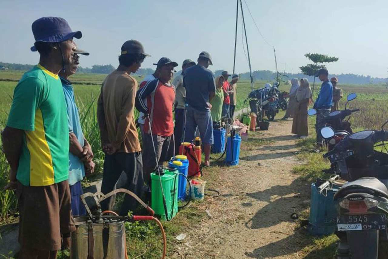 Tak Lagi Khawatir Gagal Panen Budaya Kerja C3 DP4 Blora Bantu Para Petani Atasi Permasalahan Pertanian