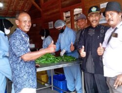 Tembus Pasar Global Inilah Alasan Tanaman Okra Blora Punya Kualitas Terbaik