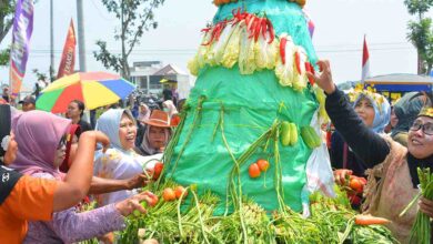 12 Gunungan Ludes Diserbu Warga Kirab Budaya Gunungan 2025 Desa Kentong Berlangsung Meriah