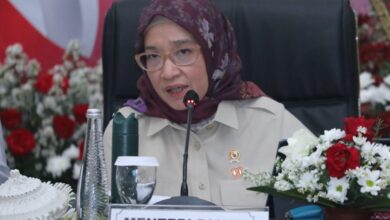 81 Ribu Lebih Koperasi Desa Merah Putih Terbentuk MenPANRB Rini Digitalisasi Strategi Sukses Pengelolaan
