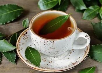 Anti Oksidannya Tinggi 7 Khasiat Daun Salam untuk Kesehatan yang Jarang Diketahui