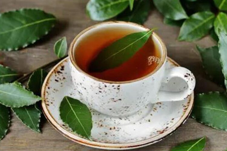 Anti Oksidannya Tinggi 7 Khasiat Daun Salam untuk Kesehatan yang Jarang Diketahui