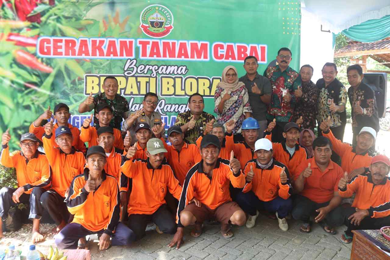 DP4 Blora Bikin Inovasi Gerakan Tanam Cabai