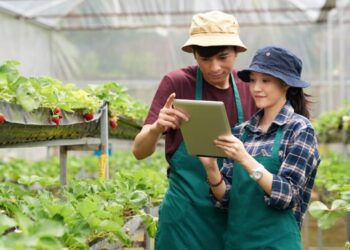 Hadiah Jutaan Rupiah DP4 Blora Gelar Lomba Petani Milenial Blora 2025 Catat Tanggalnya