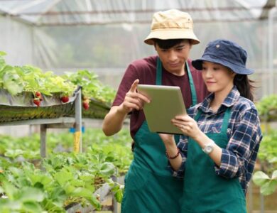 Hadiah Jutaan Rupiah DP4 Blora Gelar Lomba Petani Milenial Blora 2025 Catat Tanggalnya