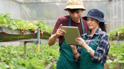 HADIAH JUTAAN RUPIAH! DP4 Blora Gelar Lomba Petani Milenial Blora 2025, CATAT Tanggalnya