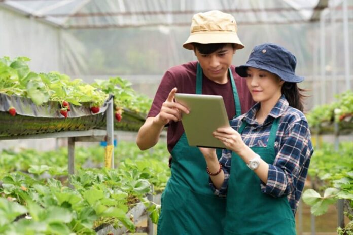 Hadiah Jutaan Rupiah DP4 Blora Gelar Lomba Petani Milenial Blora 2025 Catat Tanggalnya