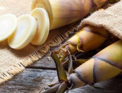 Jarang Diketahui Ternyata Rebung Memiliki Ragam Manfaat Kesehatan